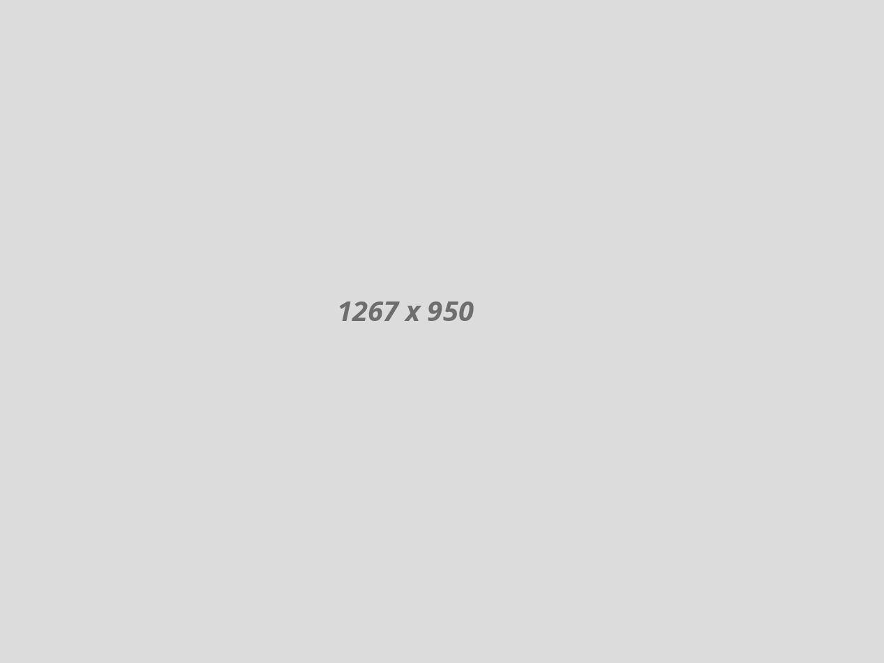 portfolio2-1